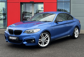 BMW 2 Series 2016 (66) at Eakin Brothers Limited Londonderry